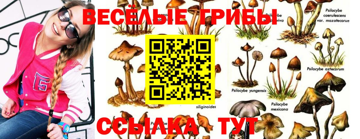 Галлюциногенные грибы мухоморы Ачхой-Мартан